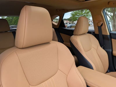 2025 Lexus NX NX 250 Premium